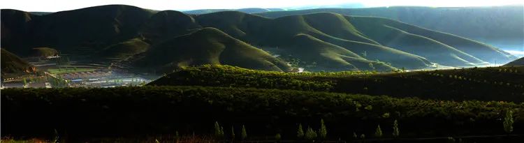 再造子午岭,再造一个子午岭有效吗