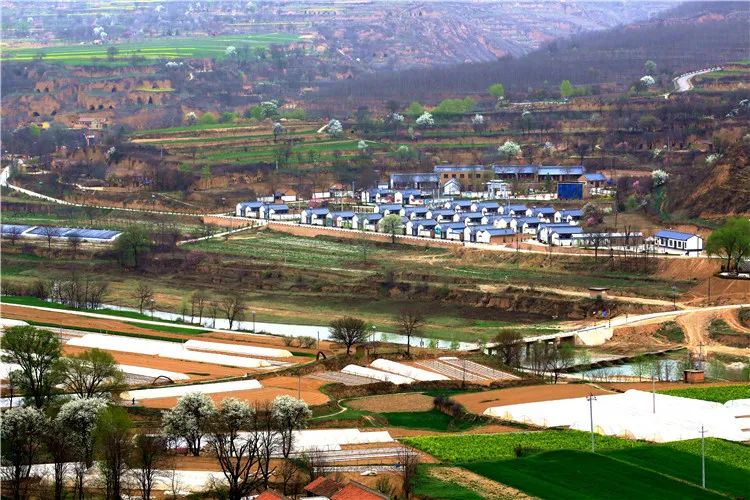 再造子午岭,再造一个子午岭有效吗