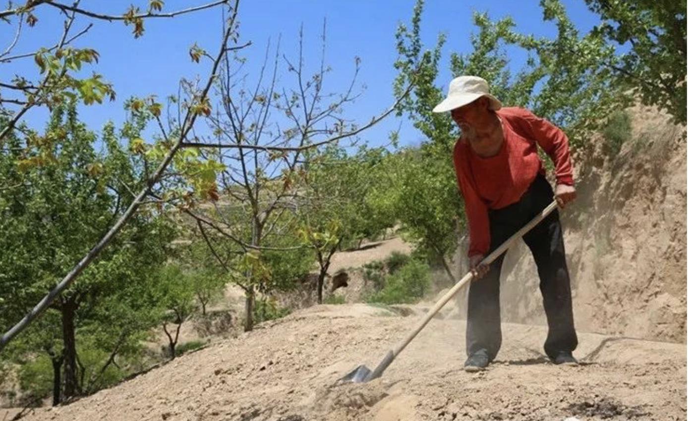 再造子午岭,再造一个子午岭有效吗