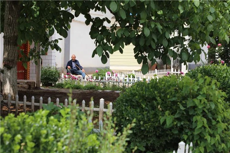 再造子午岭,再造一个子午岭有效吗