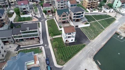 钀у北鎴存潙鍐滃満钄彍,钀у北鍐滄潙绉嶈彍