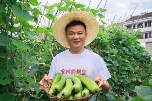 钀у北鎴存潙鍐滃満钄彍,钀у北鍐滄潙绉嶈彍