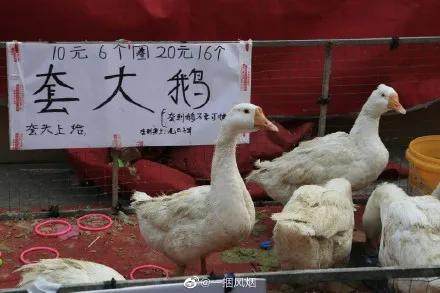 西安烤面筋摆摊,西安养生粥摆摊