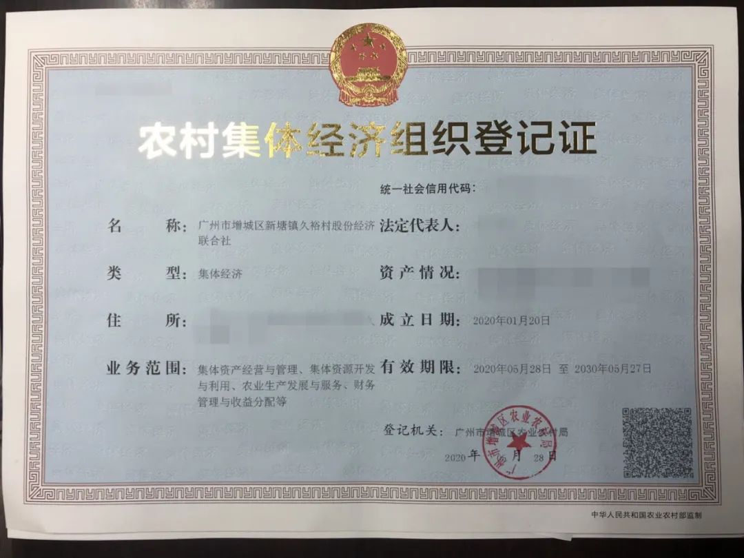 村集体经济股份合作社成功案例,首批农村集体经济组织股权