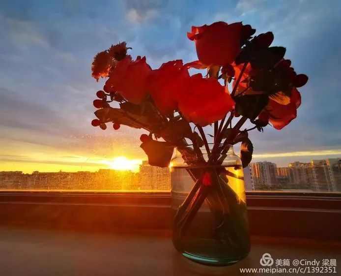 濡備綍浣撻獙浣忛櫌瀛︿範,浣撻獙浣忛櫌娴佺▼