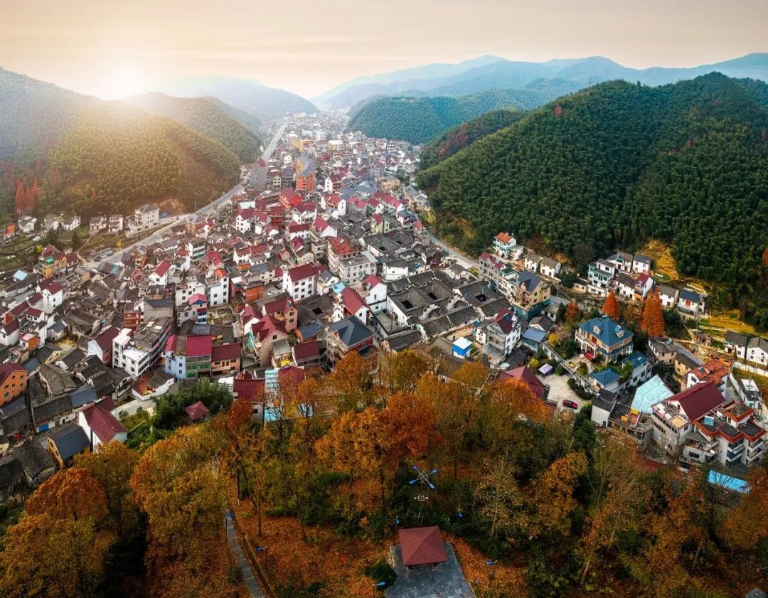 1元秒杀！富阳这个乡乡长“带货”啦！