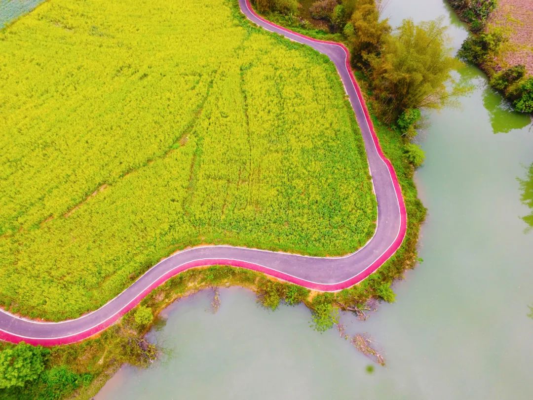 广西明仕田园旅行感想,中越边境明仕田园风景区图片