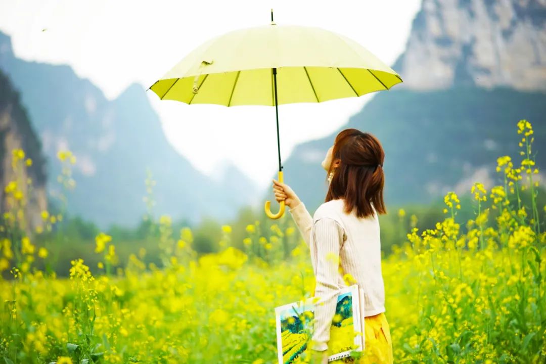 广西明仕田园旅行感想,中越边境明仕田园风景区图片