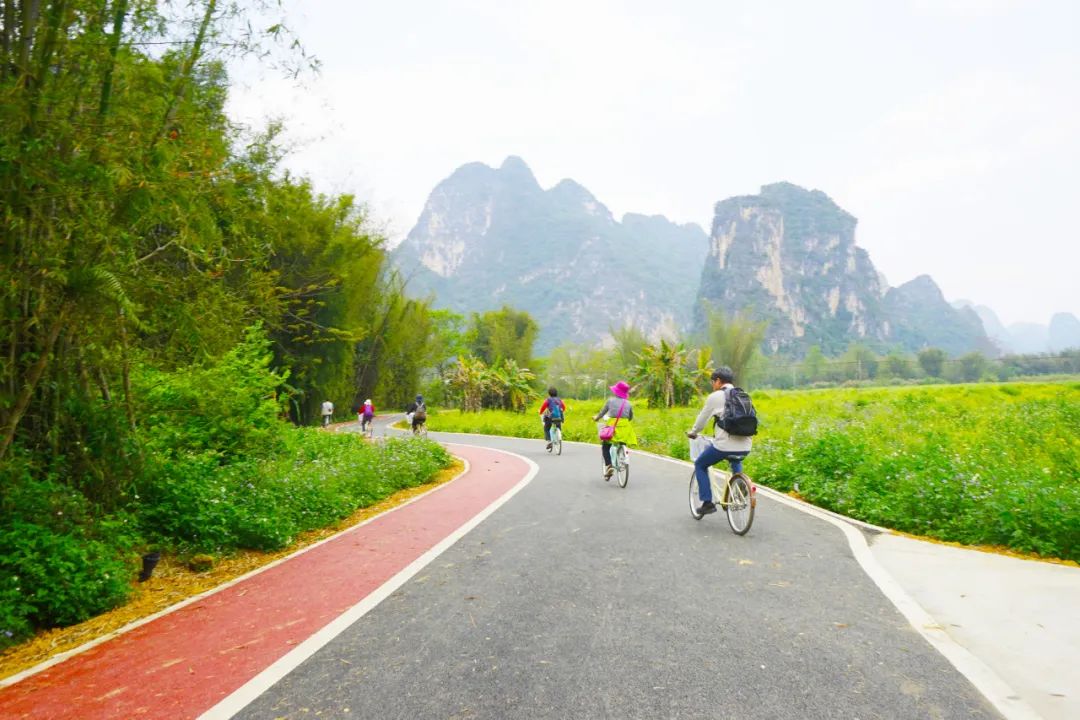 广西明仕田园旅行感想,中越边境明仕田园风景区图片
