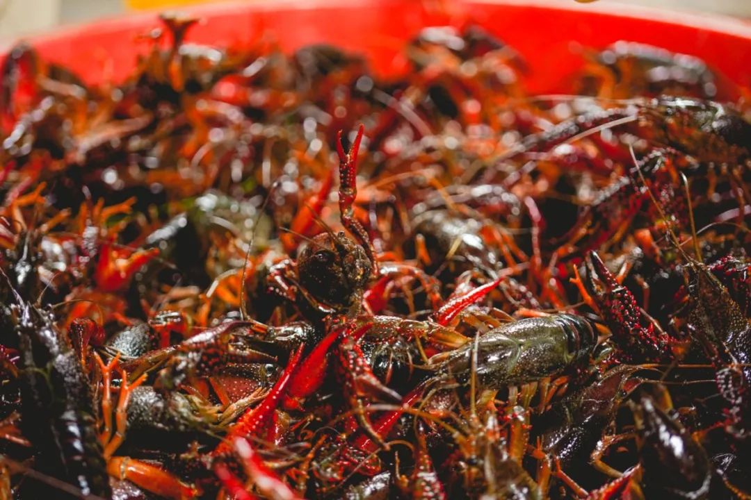 街头爆款小吃,小吃创业爆款项目