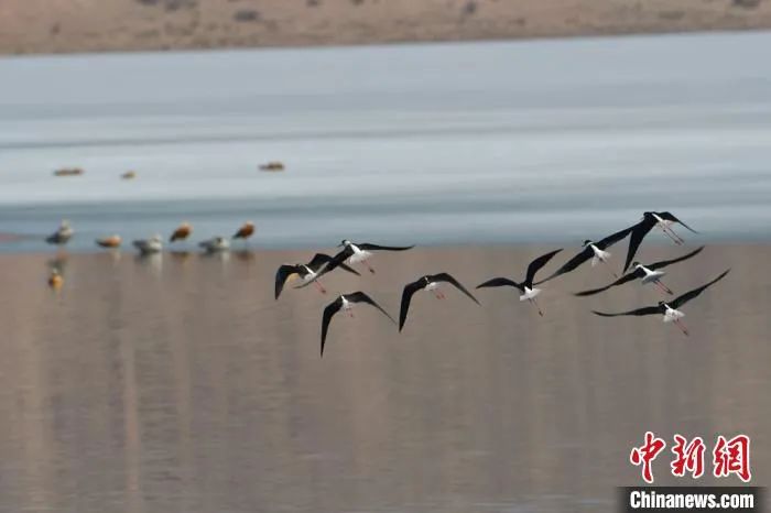 种下希望芒种,芒种忙在当下种下未来下一句
