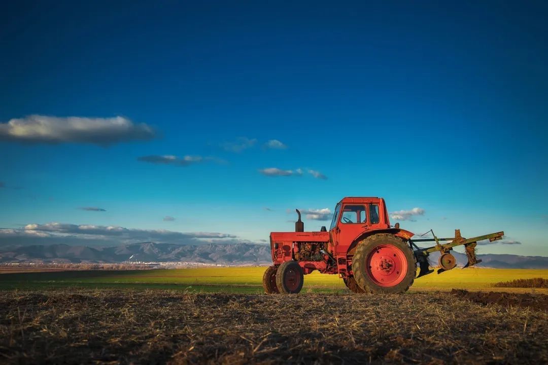 今日芒种七律,今日芒种最新模板
