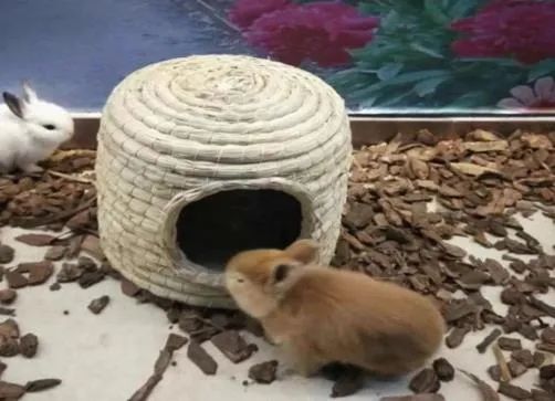 「限量特价」39元抢购价值5000元的2020年北京联合游览通票1套，可畅游京城百家景区，不贴照片不实名，不限周末，省钱还省心