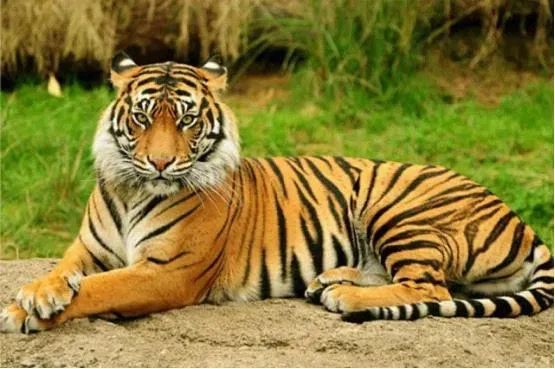 「限量特价」39元抢购价值5000元的2020年北京联合游览通票1套，可畅游京城百家景区，不贴照片不实名，不限周末，省钱还省心