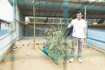 农村土特产如何做电商,土特产电商运营方案