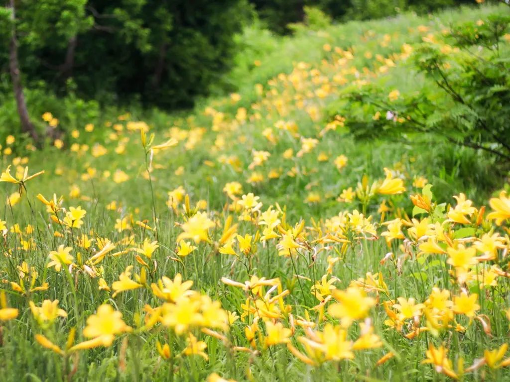 日本小城,日本最值得去的小镇