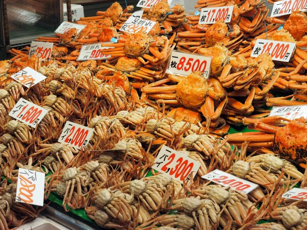 日本小城,日本最值得去的小镇