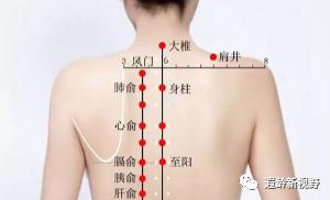 疼痛贴和膏药贴哪个效果好 (止痛贴可以贴哪些部位)