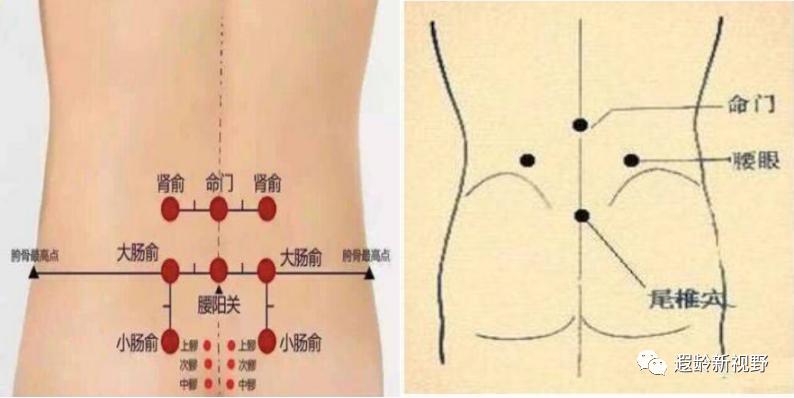疼痛贴和膏药贴哪个效果好 (止痛贴可以贴哪些部位)