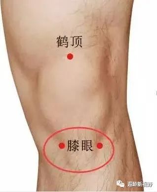 疼痛贴和膏药贴哪个效果好 (止痛贴可以贴哪些部位)