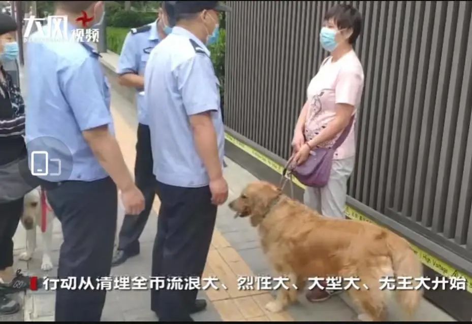 拾条｜陕西省总工会启动2020年“三秦工匠”评选工作，报名戳这里！00后大学生创业年入10万，为200名同学提供兼职