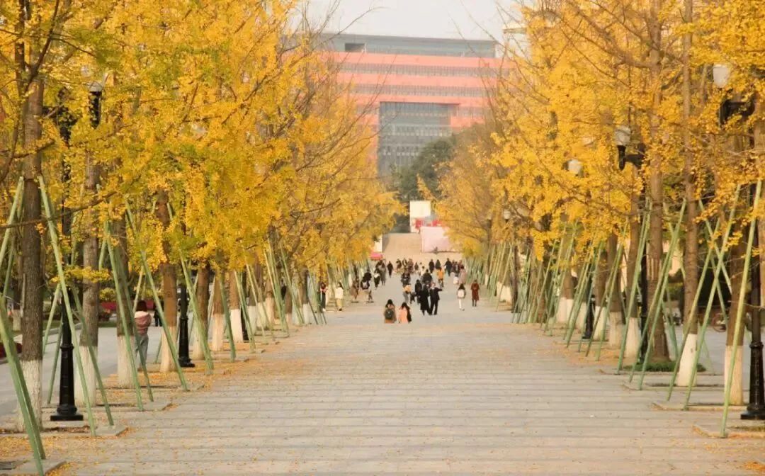 成都大学与哪所大学实力相当,成都大学是什么级别的大学