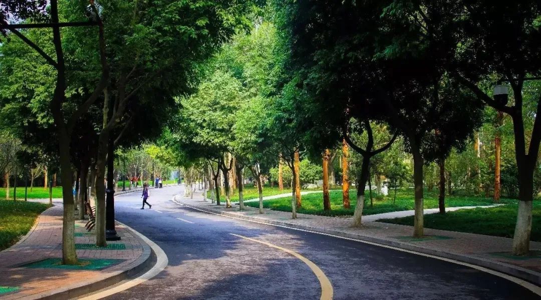 成都大学与哪所大学实力相当,成都大学是什么级别的大学