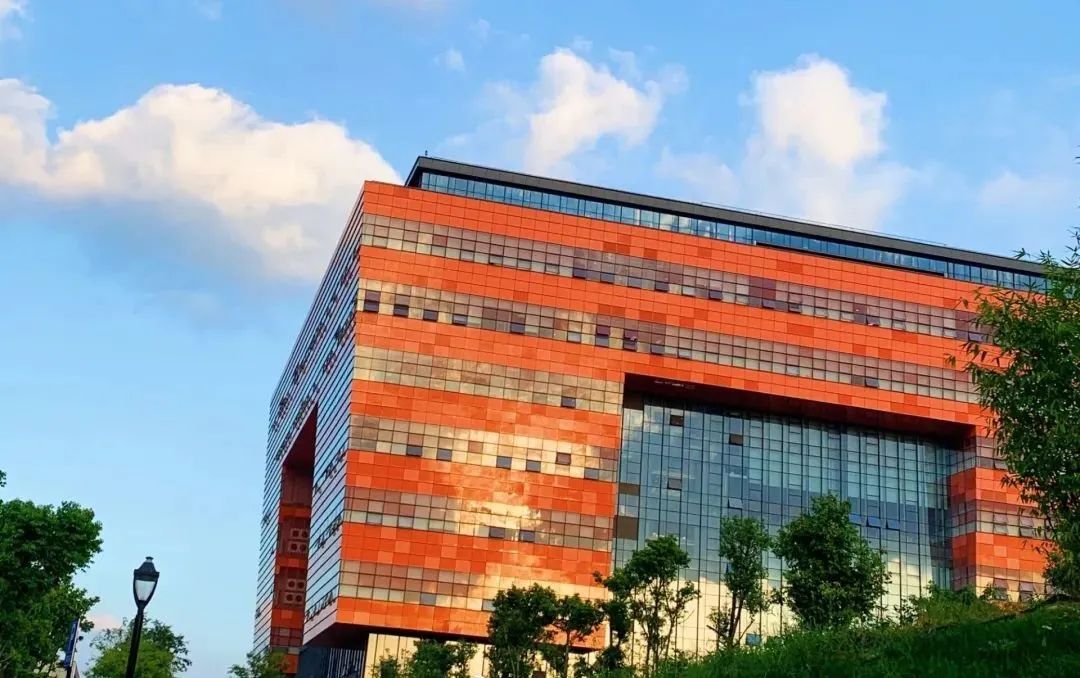 成都大学与哪所大学实力相当,成都大学是什么级别的大学