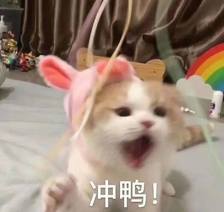 闭嘴吧，别再说国货不好用了