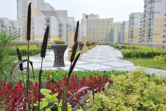 北京市第十四中学招生简章,北京市第八十中学招生计划