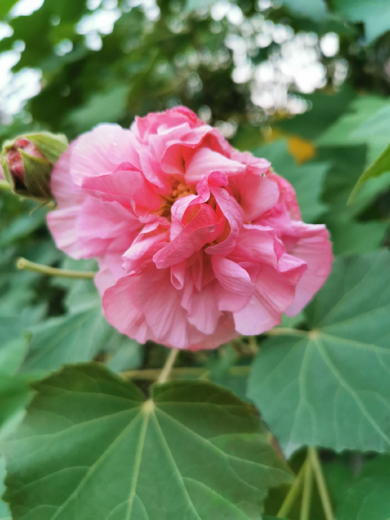 钓到大鱼正确的溜鱼法,钓到大鱼怎么遛鱼正确