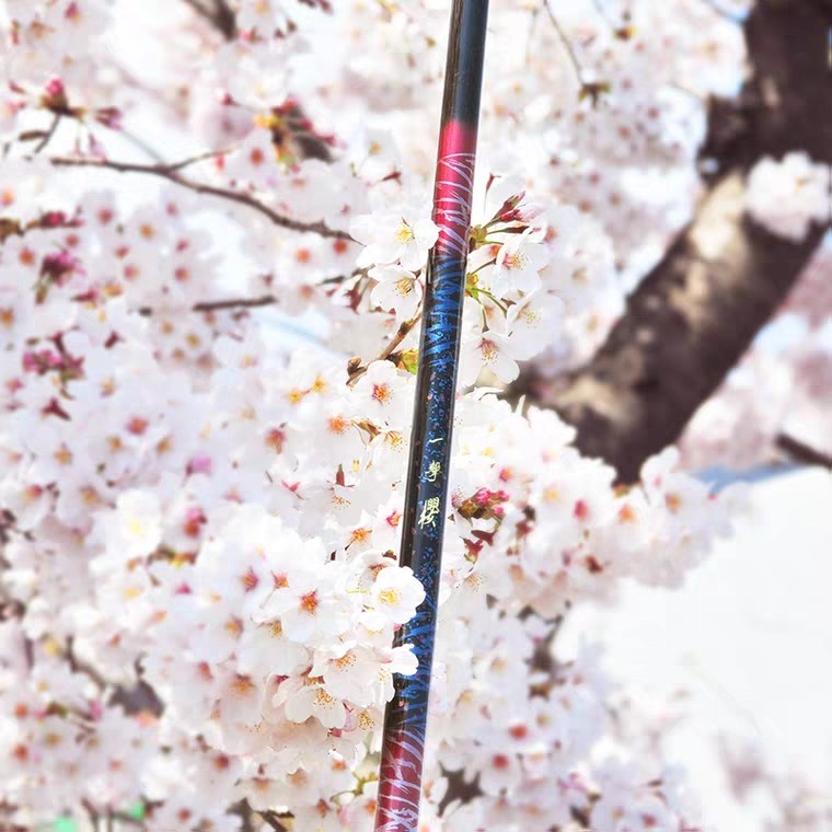 钓到大鱼正确的溜鱼法,钓到大鱼怎么遛鱼正确