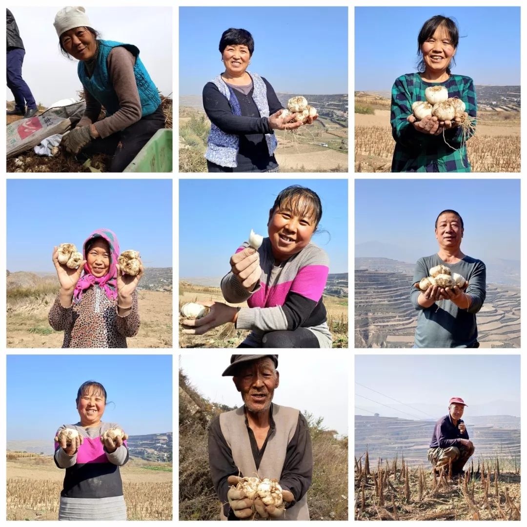 喉咙干痒咳嗽吃梨有效果吗,咳嗽有痰喉咙痒最快的方法润肺