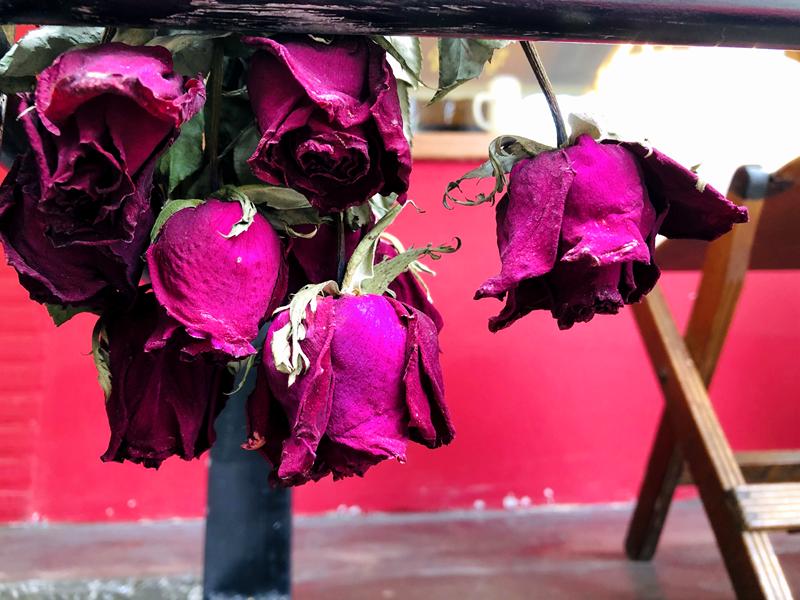 成都锦江老街,成都锦江边老街