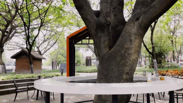 成都锦江老街,成都锦江边老街