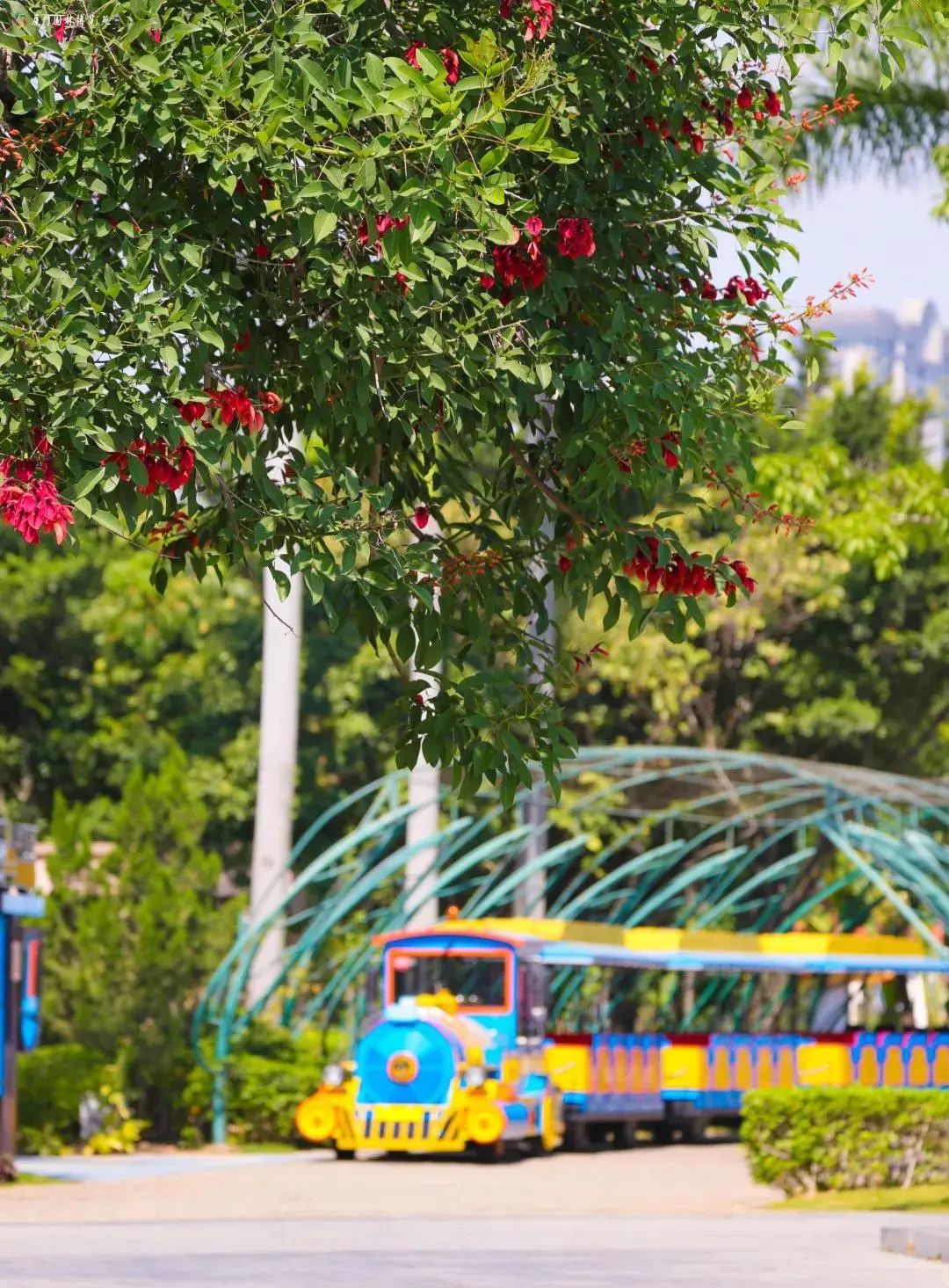 带娃出去玩的公园推荐,周六日可以带娃去的公园