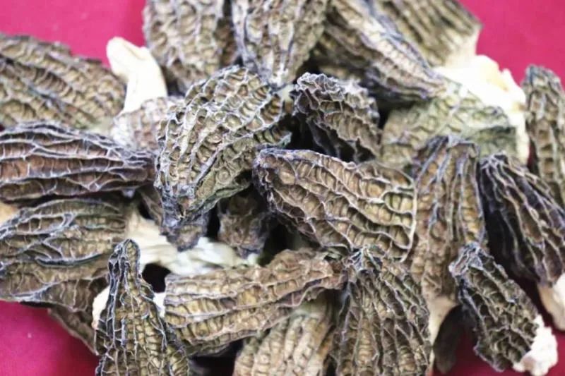 好嘢团购优惠,佛山好嘢直播间