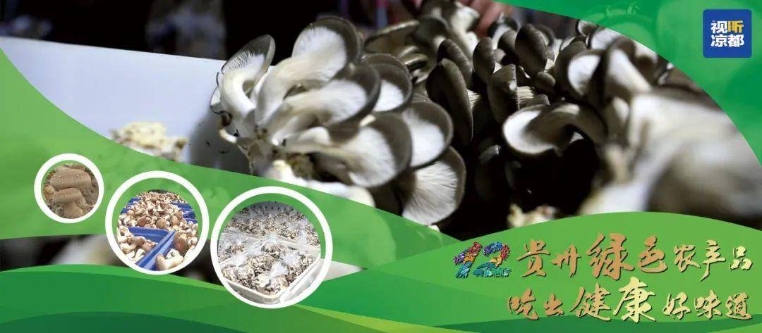 社区五共同一促进创建活动方案,加强社区建设共建美好家园