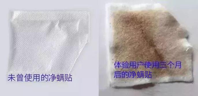 法国Lérane草本净螨贴，萃取天然植物，除螨更安心