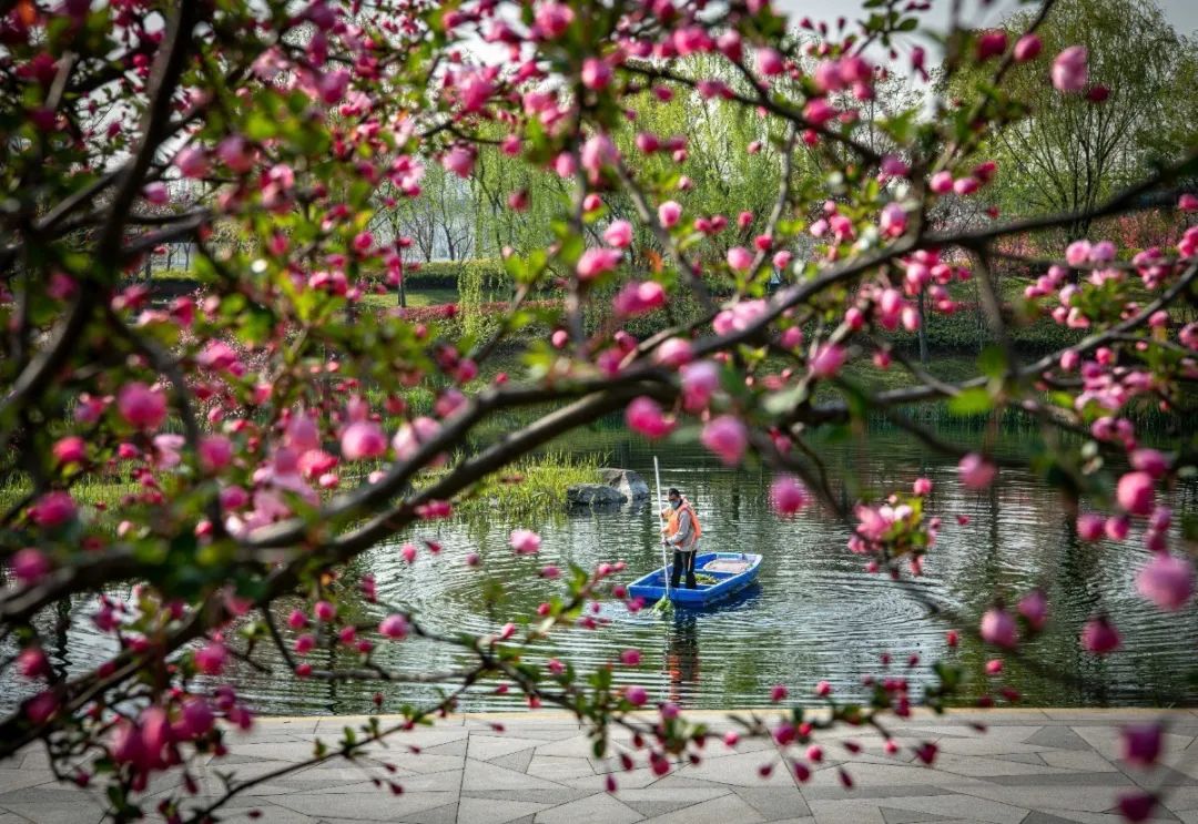 “镜中”余杭！这样的“靓”城美景你见过吗？丨小余儿说晚安