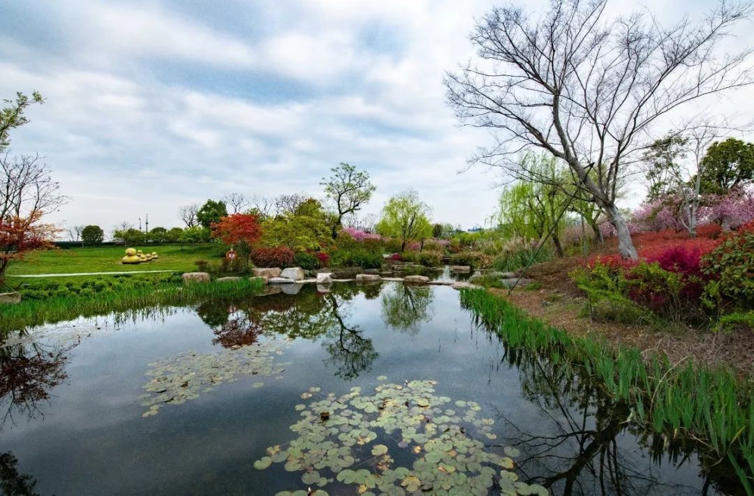 “镜中”余杭!这样的“靓”城美景你见过吗?丨小余儿说晚安
