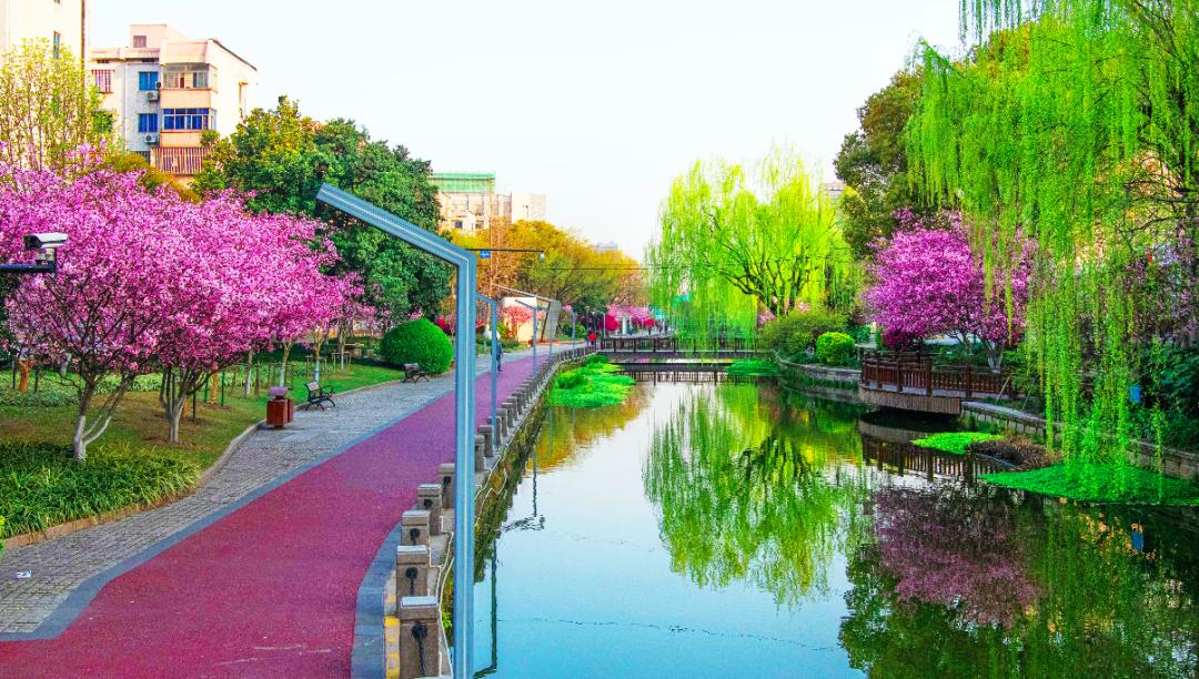 “镜中”余杭!这样的“靓”城美景你见过吗?丨小余儿说晚安