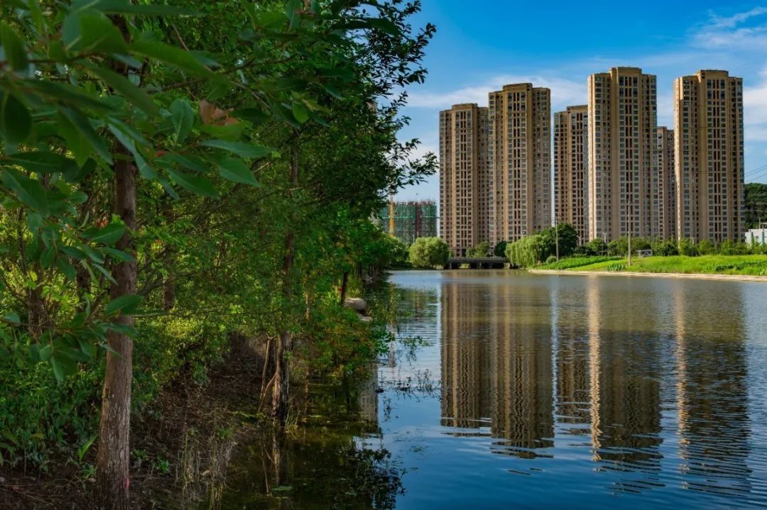 “镜中”余杭!这样的“靓”城美景你见过吗?丨小余儿说晚安