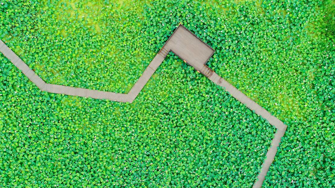 “镜中”余杭!这样的“靓”城美景你见过吗?丨小余儿说晚安