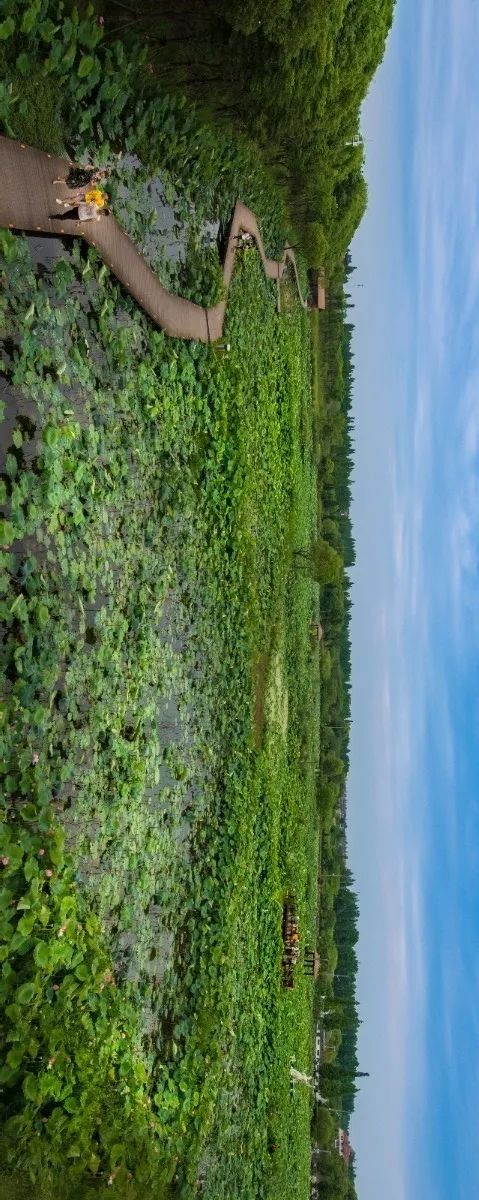 “镜中”余杭!这样的“靓”城美景你见过吗?丨小余儿说晚安