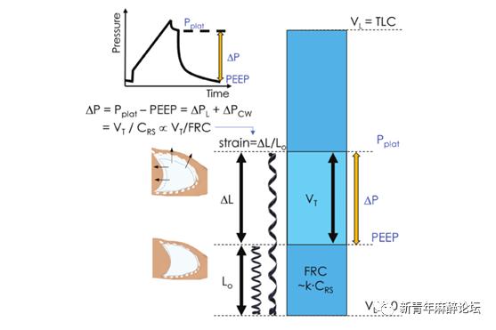 跨肺压与驱动压的区别,驱动压和跨肺压区别