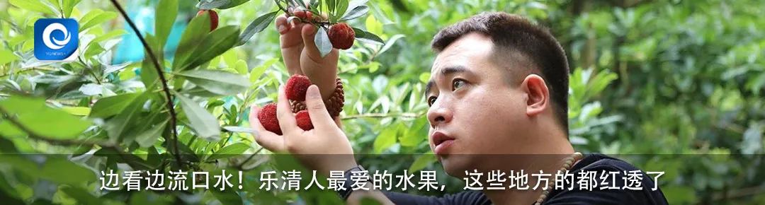 足球博物馆陈列图片,乐清足球博物馆现状