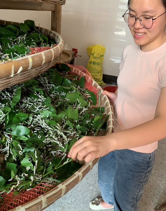 棉花被与蚕丝被哪个好,棉花被跟蚕丝被哪个好