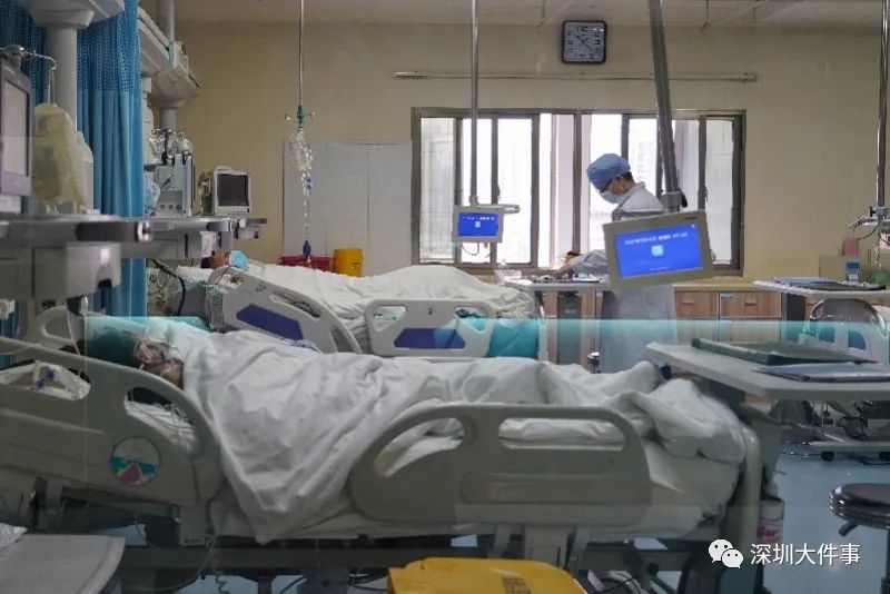 深圳五个月宝宝铅中毒,五岁的宝宝铅超标怎么办