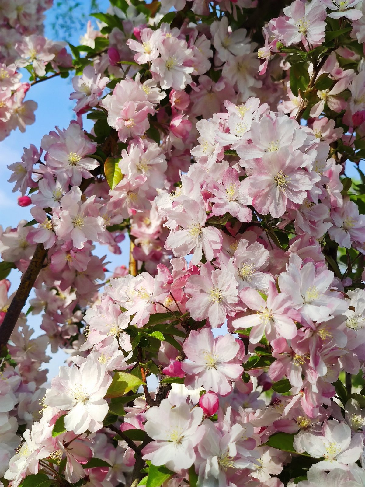 小米10pro相机暗光评测,小米10pro摄像头参数介绍